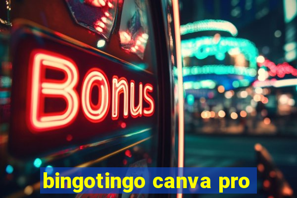 bingotingo canva pro